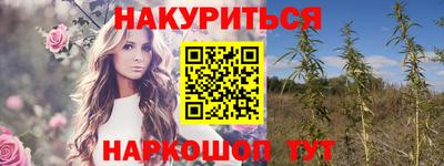 крисы Ангарск