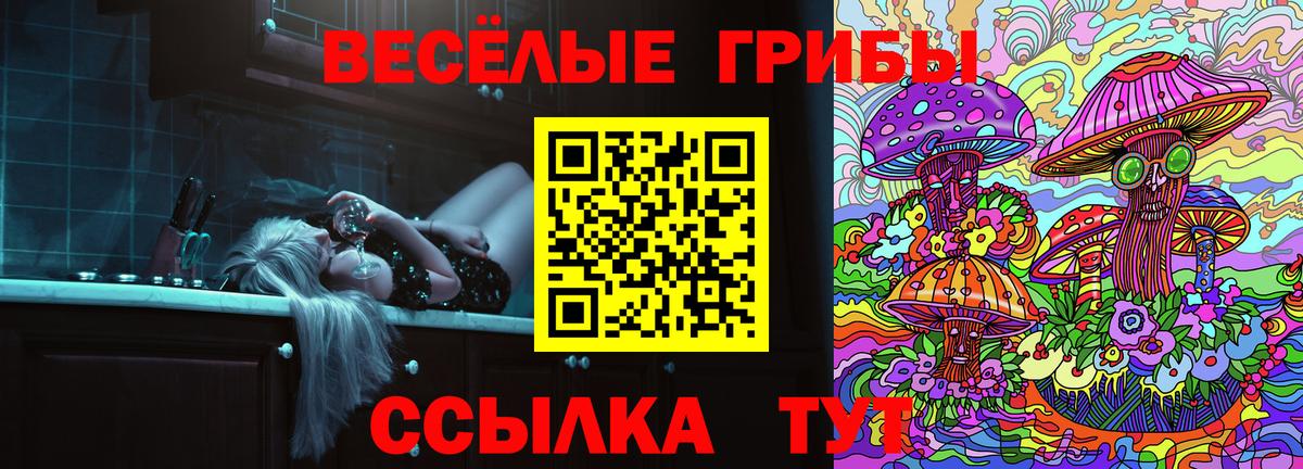 Галлюциногенные грибы Psilocybe Лесосибирск