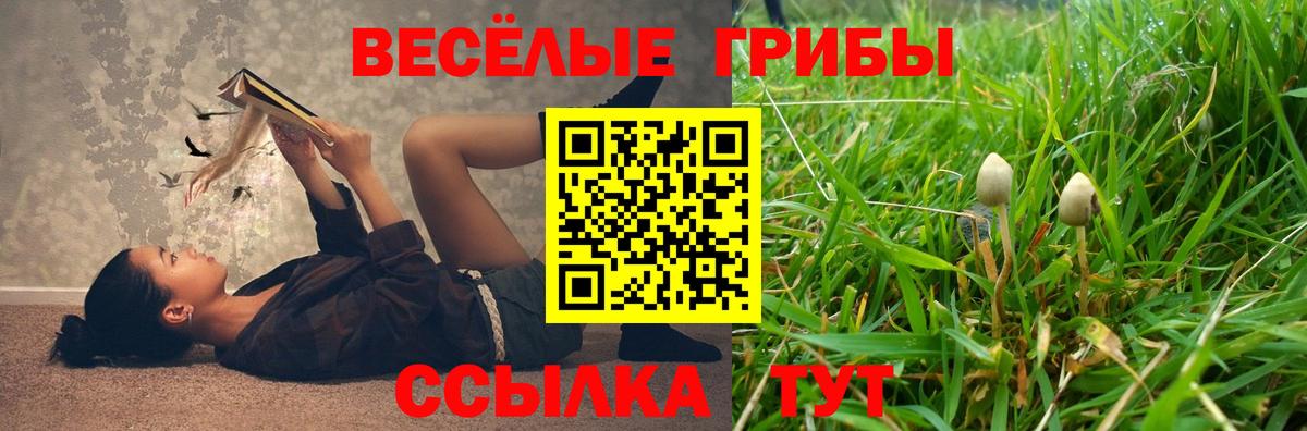 Лесосибирск  Псилоцибиновые грибы мицелий  Вход с VPN 